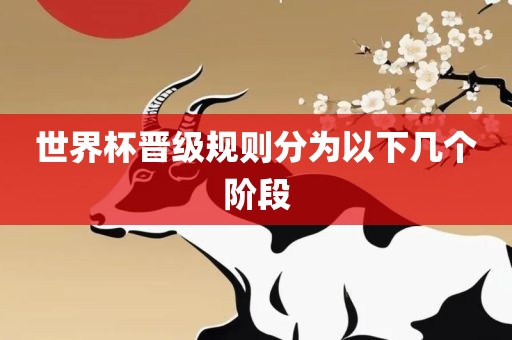 世界杯晋级规则分为以下几眉山市正发家政服务有限公司个阶段