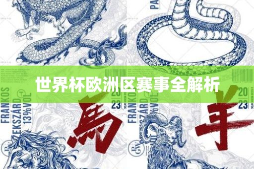 世界杯欧洲区赛事全解析