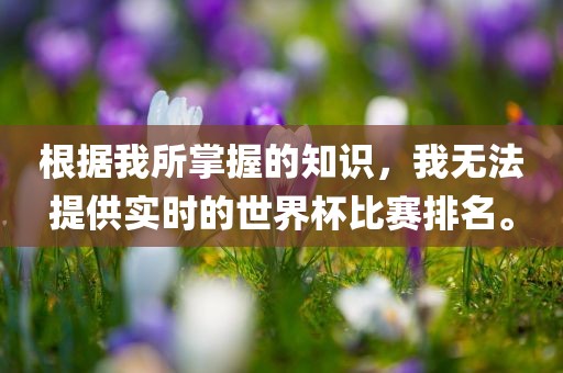 根据我所掌握的知识，我无法提供实时的世界杯比赛排名。眉山市正发家政服务有限公司
