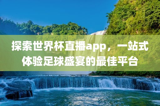 探索世界杯直播app，一站式体验足球盛宴的最佳平台眉山市正发家政服务有限公司