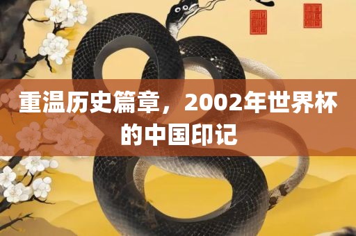 重温历史篇章，2002年世界杯的中国印记眉山市正发家政服务有限公司