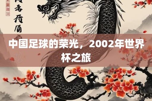 中眉山市正发家政服务有限公司国足球的荣光，2002年世界杯之旅