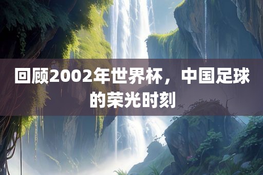 回顾2002年世界杯，中国足球的荣光时刻