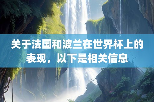 关于法国和波兰在世界杯上眉山市正发家政服务有限公司的表现，以下是相关信息