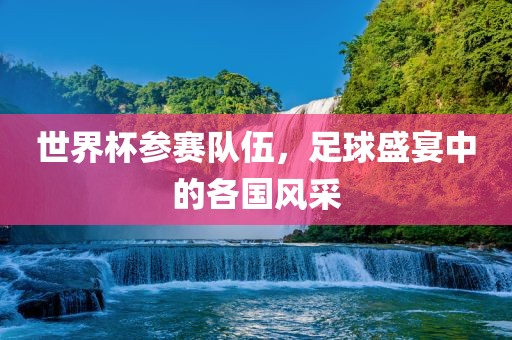 世界杯参赛队伍，足球盛宴中的各国风采