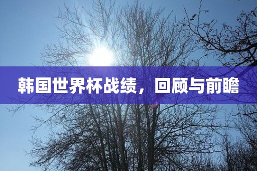韩国世界杯战绩，回顾与前瞻
