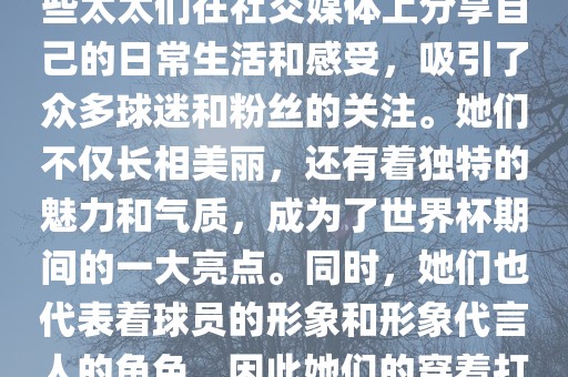 世界杯太太团是指参与世界杯的球队中球员的妻子们组成的团体。这些太太们在世界杯期间备受关注，她们的出现也为比赛增添了不少色彩和看点。这些太太们在社交媒体上分享自己的日常生活和感受，吸引了众多球迷和粉丝的关注。她们不仅长相美丽，还有着独特的魅力和气质，成为了世界杯期间的一大亮点。同时，她们也代表着球员的形象和形象代言人的角色，因此她们的穿着打扮和言行举止备受关注。总之，世界杯太太团是世界杯期间不可或缺的一部分，她们的出现也为球迷们带来了更多的观赏乐趣。