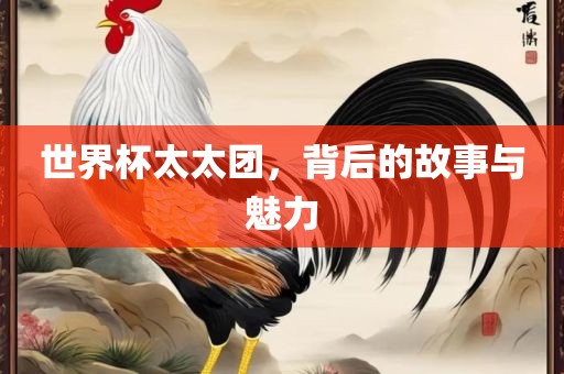 世界杯太太团，背后的故事与魅力