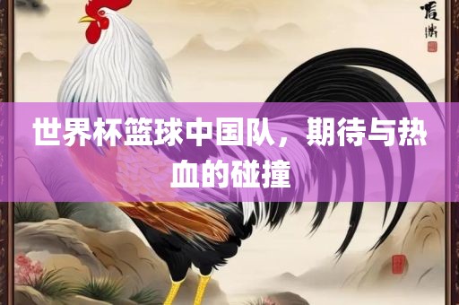 世界杯篮球眉山市正发家政服务有限公司中国队，期待与热血的碰撞