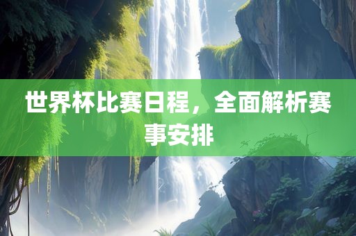 世界杯比赛日程，全面解析赛事安排