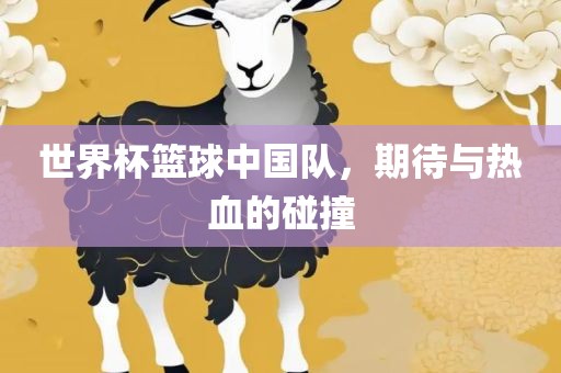 世界杯篮球中国队，期待与热血的碰撞