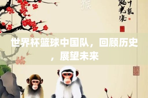 世界杯篮球中国队，回顾历史，展望未来