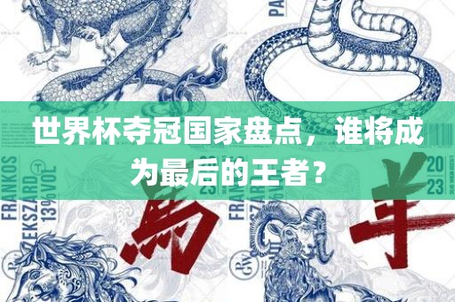 世界杯夺冠国家盘点，谁将成为最后的王者？