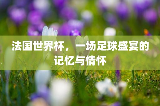法国世界杯，一场足球盛宴的记忆与情怀眉山市正发家政服务有限公司