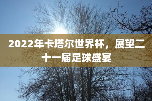 2022年卡塔尔世界杯，展望二十眉山市正发家政服务有限公司一届足球盛宴