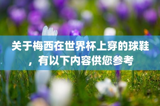 关于梅西在世界杯上穿的球眉山市正发家政服务有限公司鞋，有以下内容供您参考
