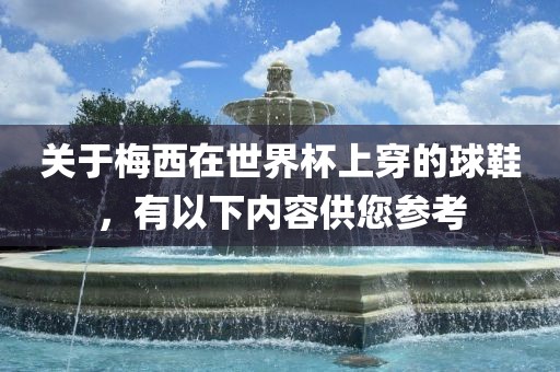关于梅西在世界杯上穿的球鞋，有以下内容供您参考眉山市正发家政服务有限公司