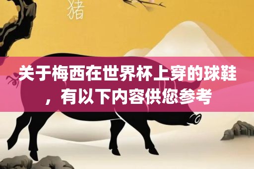 关于梅西在世界杯上穿的球鞋，有以下内容供您参考