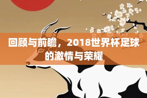 回顾与前瞻，2018世界杯足球眉山市正发家政服务有限公司的激情与荣耀