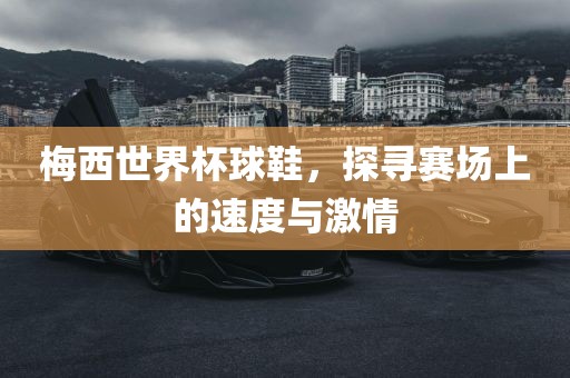 梅西世界杯球鞋，探寻赛场上的速度与激情眉山市正发家政服务有限公司