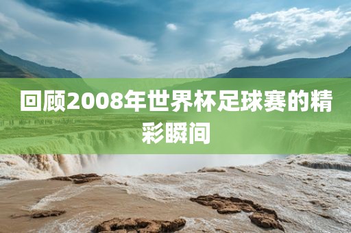 回顾2008年世界杯足球赛的精彩瞬间眉山市正发家政服务有限公司