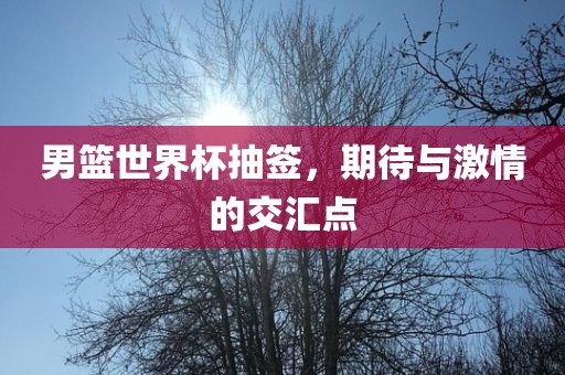 男篮世界杯抽签，期待与激情的交汇点眉山市正发家政服务有限公司