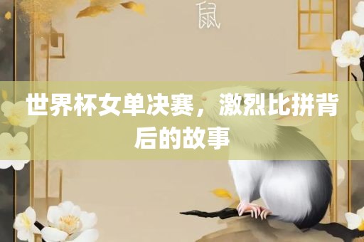 世界杯女单决赛，激烈比拼背后的故事