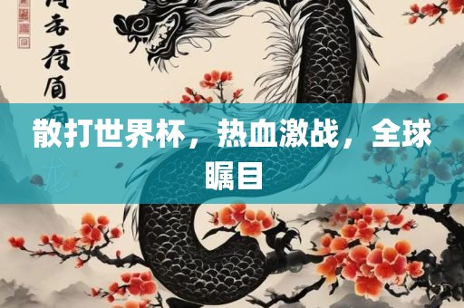 散打世界杯，热血激战，全球瞩目眉山市正发家政服务有限公司