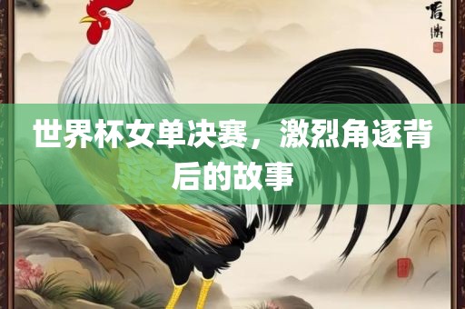 世界杯女单决赛，激烈角逐背后的故事