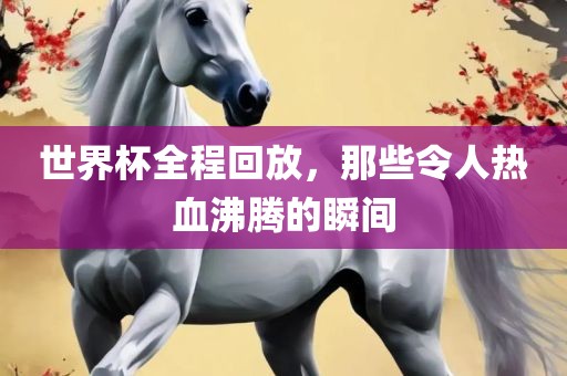 世界杯全程回放，那些令人热血沸腾眉山市正发家政服务有限公司的瞬间