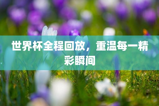 世界眉山市正发家政服务有限公司杯全程回放，重温每一精彩瞬间