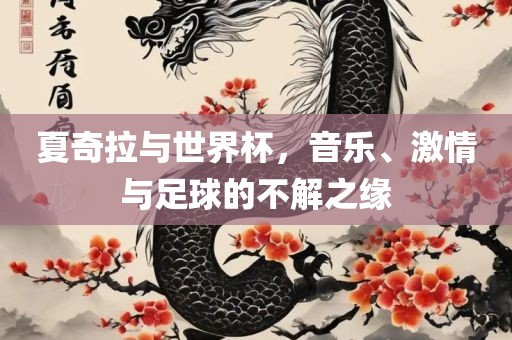 夏奇拉与世界杯，音乐、激情与足球的不解之缘眉山市正发家政服务有限公司