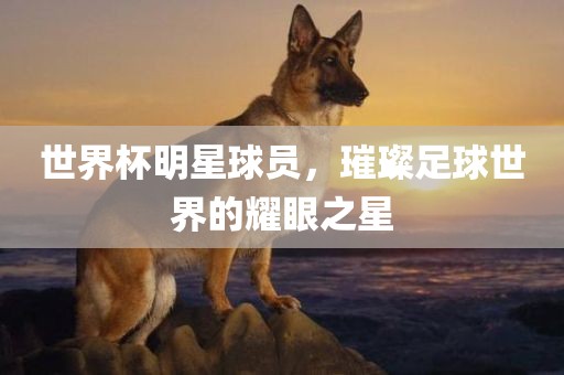 世界杯明星球员，璀璨足球世界的耀眼之星