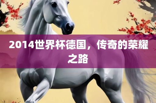 2014世界杯德国，传奇的荣耀之路