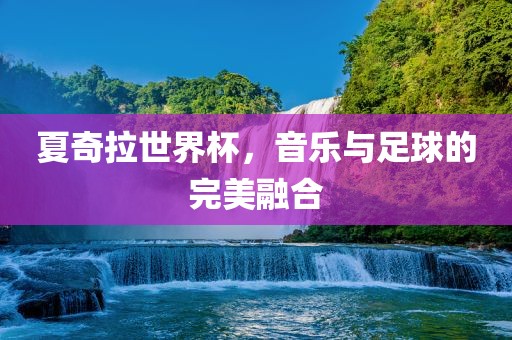 夏奇拉世界杯，音乐与足球的完美融合眉山市正发家政服务有限公司