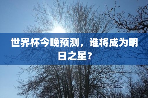 世界杯今晚预测，谁将成为明日之星？