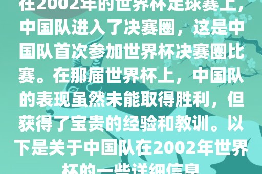 在2002年的世界杯足球赛上，中国队进入了决赛圈，这是中国队首次参加世界杯决赛圈比赛。在那届世界杯上，中国队的表现虽然未能取得胜利，但获得了宝贵的经验和教训。以下是关于中国队在2002年世界杯的一些详细信息