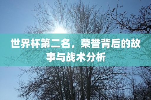 世界杯第二名，荣誉背后的眉山市正发家政服务有限公司故事与战术分析