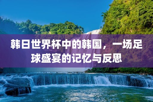 韩日世界杯中的韩国，一场足球盛宴的记忆与反思眉山市正发家政服务有限公司