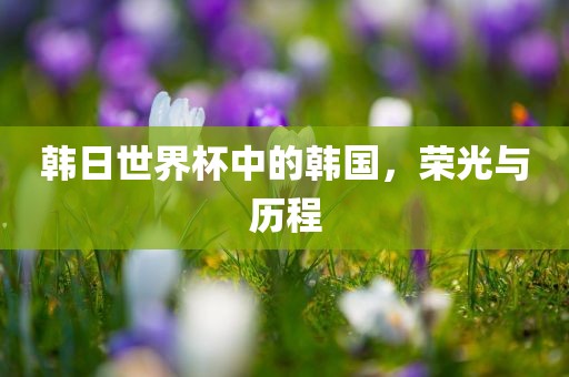 韩日世界杯中的韩国，荣光与历程眉山市正发家政服务有限公司