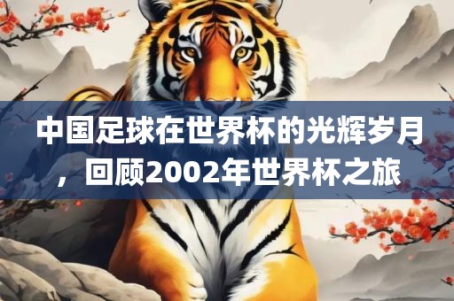 中国足球在世界杯的光辉岁月，回顾2002年世界杯之旅眉山市正发家政服务有限公司