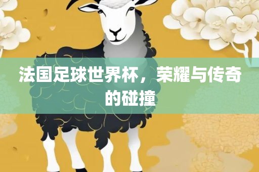 法国足球世界杯，荣耀与传奇的碰撞