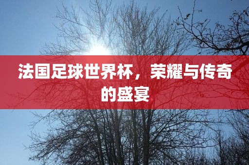 法国足球世界杯，荣耀与传奇的盛宴眉山市正发家政服务有限公司