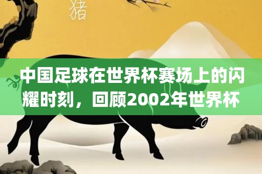 中国足球在世界杯赛场上的闪耀时刻，回顾2002年世界杯眉山市正发家政服务有限公司