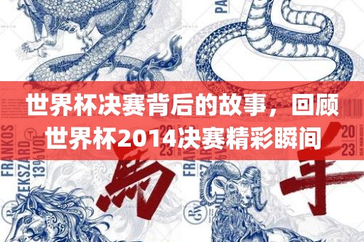 世界杯决赛背后的故事，回顾世界杯2014决赛精彩瞬间眉山市正发家政服务有限公司