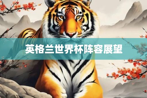 英格兰世界杯阵容展望