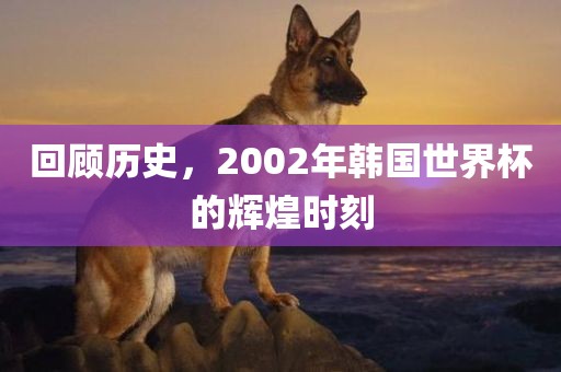 回顾历史，2002年韩国世界杯的辉煌时刻