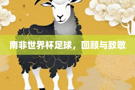 南非世界杯足球，回顾眉山市正发家政服务有限公司与致敬