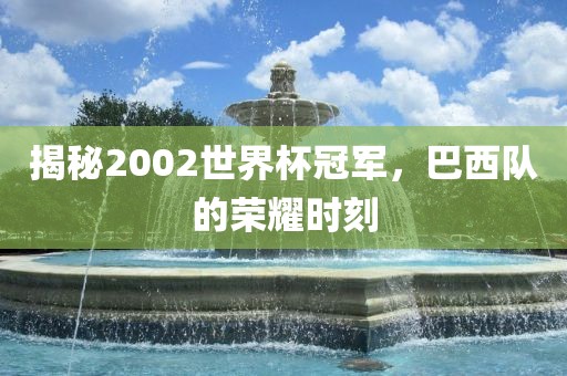 揭秘2002世界杯冠军，巴西队的荣眉山市正发家政服务有限公司耀时刻