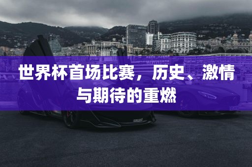 世界杯首场比赛，历史、激情与期待的重燃眉山市正发家政服务有限公司